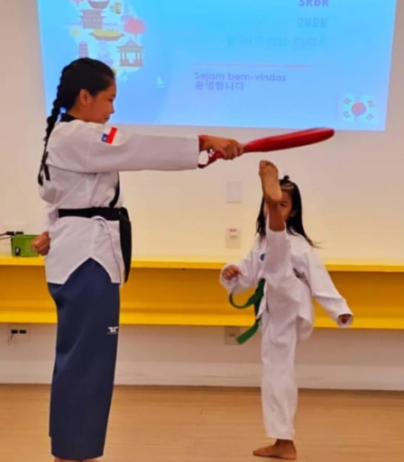 Técnicas de combate